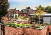 Rooftop Garden