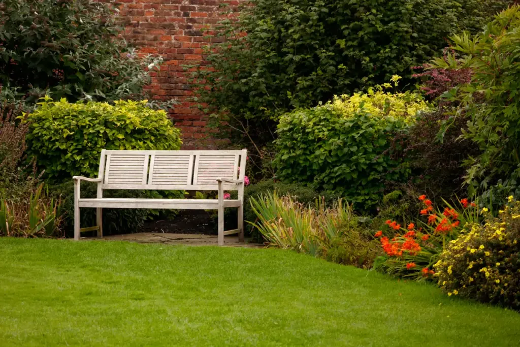 Backyard Garden
