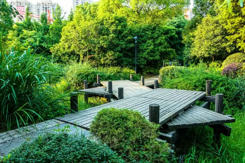 Backyard garden pathway