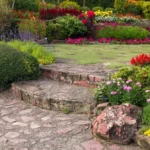 Backyard Landscaping