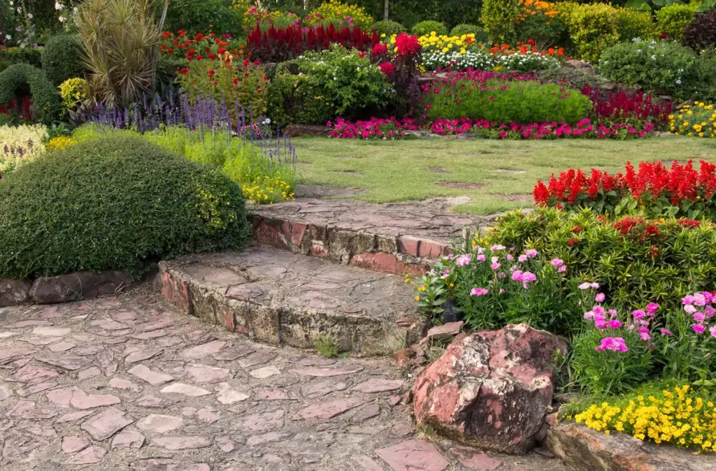 Backyard Landscaping