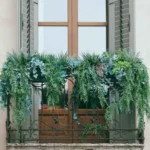 Balcony Plants