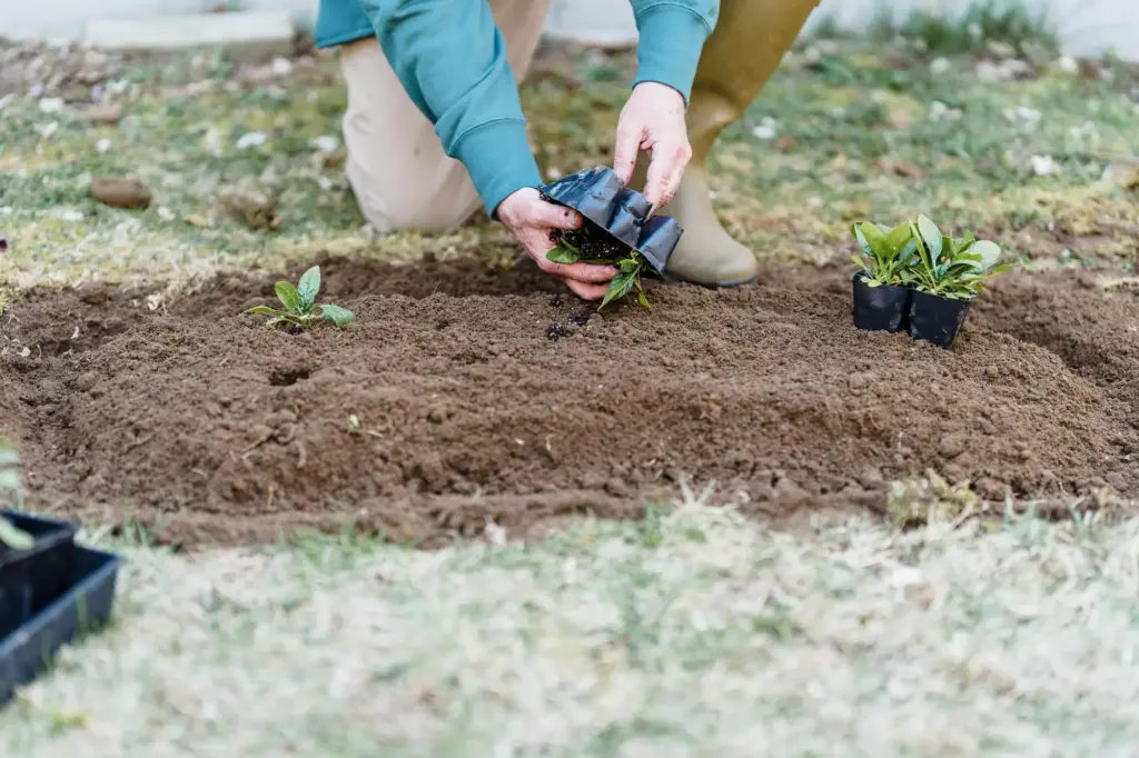 Garden beds Erosion