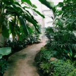 Small Garden