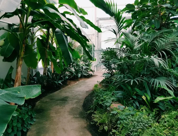 Small Garden
