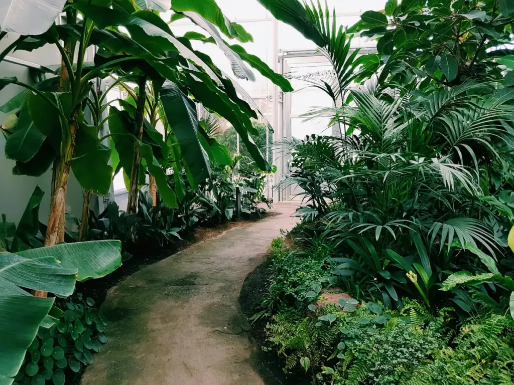 Small Garden